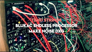 Make Noise DXG - Eurorack Module on ModularGrid