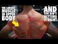 Balloon Method Lat Workout For A Wider Back In 20 Minutes