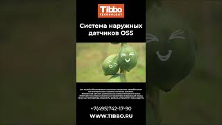 Наружная сенсорная система (OSS) #бизнес #iot #технологии #ии