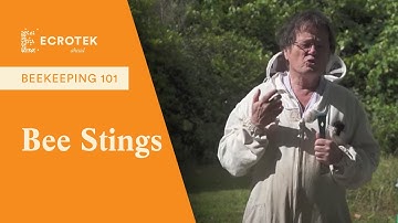 Beekeeping 101: All about Bee Stings in Beekeeping - Dr Mark Goodwin