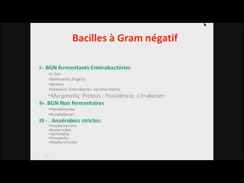 Vidéo: Lequel des bacilles gram-négatifs suivants fermente le glucose ?