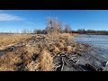 Can I Catch These Trap Shy Beaver??? (Underwater HD Video)