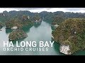 Ha Long Bay Orchid Cruises Vietnam