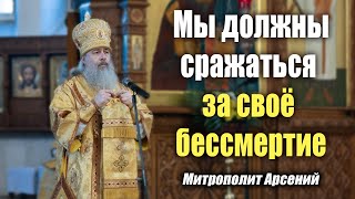 видео: Проповедь митр. Арсения в Неделю о Страшном суде 7.3.21 г. картинка: Проповедь митр. Арсения в Неделю о Страшном суде 7.3.21 г.