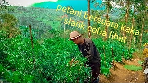Slank - Kalah, suara mirip kaka dengarkan !!! (cover by anto koesmianto)