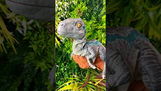 Baby dinosaur #dinosaur #jurassicworld #dino