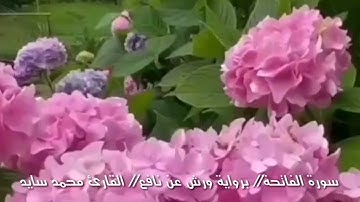 سورة الفاتحة //برواية ورش عن نافع //#القارئ محمد سايد//#