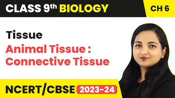 Animal Tissue : Connective Tissue - Tissue | Class 9 Biology Chapter 6 | 2023-24