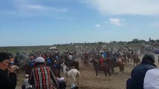 Өзгент Ауылы. Б.Төлегенов берген көкпарынан үзінді