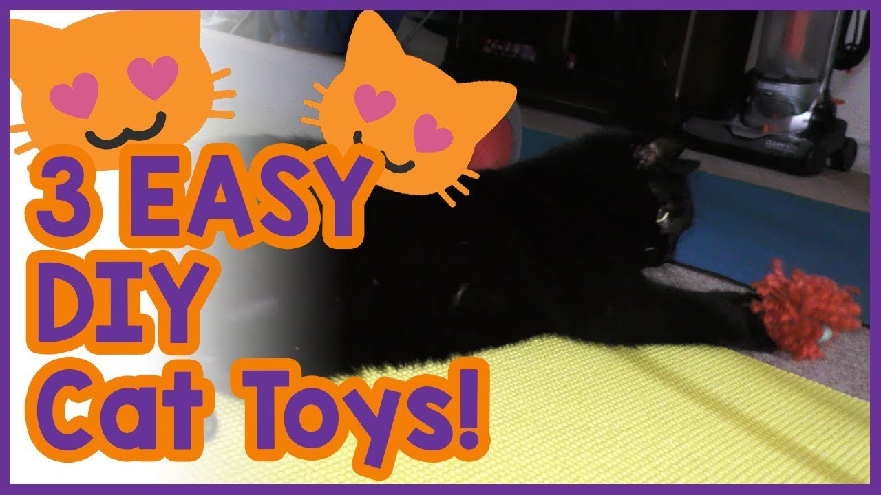 toys to keep your cat entertained