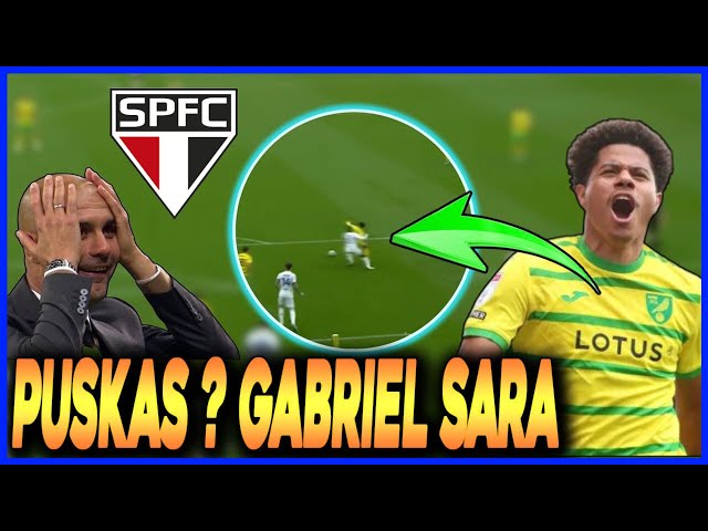 Com golaço e assistência de Gabriel Sara, Norwich volta à zona de  classificação à Premier League - Lance!