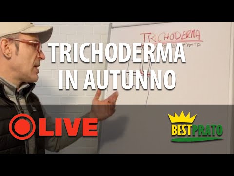 Video: Trichoderma: 4 Modi Di Utilizzo