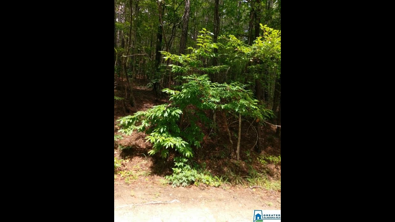 Homes for sale HWY 31 1, JEMISON, AL 35085 YouTube