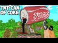 What if Activate a COCA-COLA CAN OF TNT in Minecraft ??? TNT Explosion Endless World !!!
