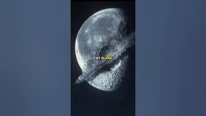 Cat Noir was aware of the Cat Blanc incident #miraculous #miraculousladybug #mlb