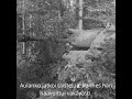 Mannerheim-ristin ritari 133: Olli Aulanko