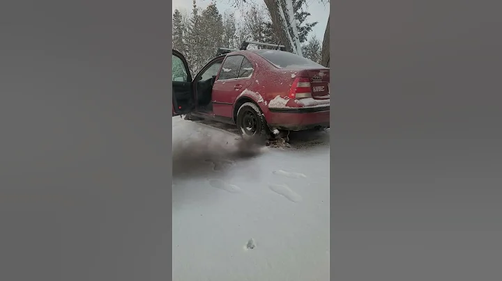 BEW TDI -27°C full cold start