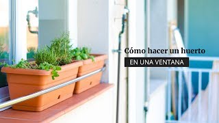 Cómo hacer un huerto en una ventana