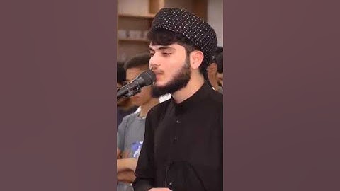 هدوء عجيب في التلاوة | علي التركماني #القارئ_علي_التركماني #علي_التركماني #quran #تلاوات #islam