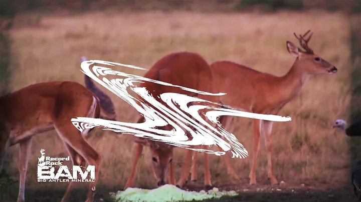 True Life Hunting Adventures Season 2 Episode 6