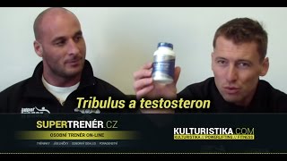 Tribulus a testosteron - Videolog - Fitness poradna kulturistika.com