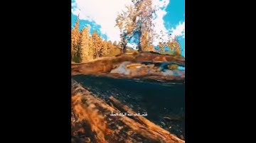 افحسبتم انما خلقناكم عبثا _ ايه من القرآن الكريم