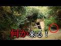 山の廃集落で大量の〇〇に遭遇する50代男性【大分廃村】三ノ岳集落・豊後大野市犬飼町長谷