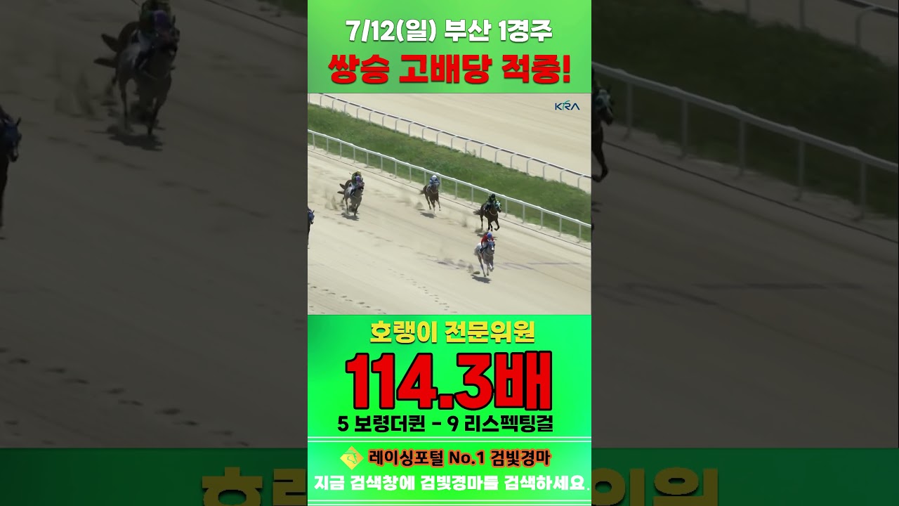 [부산 경마] 7월 12일 일요 1경주 호랭이 전문위원 쌍승 고배당 적중 #경마 #horse #한국마사회 #automobile #하이라이트 #riding #뉴스 #게임 #race