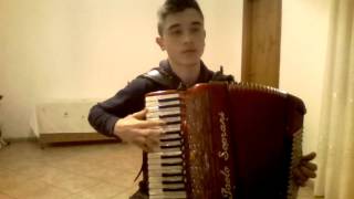 Video thumbnail of "Libertango (fisarmonica)"