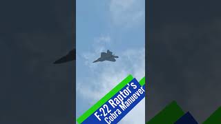 The F-22 Raptor's Cobra Manuever #shorts #usaf