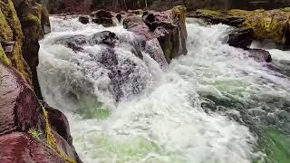 15.5.2026 - Divine Reading: 1 Chronicles 16:7-15