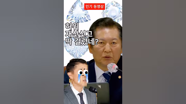 #정청래 명장면 검사들에게 지지 않는 재산 축소신고 고발