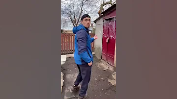 Огромный паук в нашей деревни!