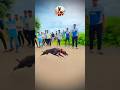 kolhapur dog race || dog res || Dog racing kolhapur || #shorts
