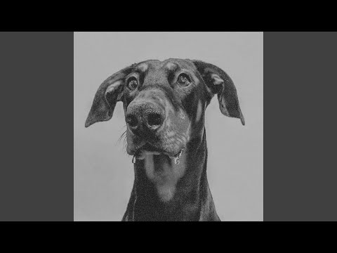 YouTubeでI MOCK JOGGERSを視聴 YouTubeでI MOCK JOGGERSを視聴