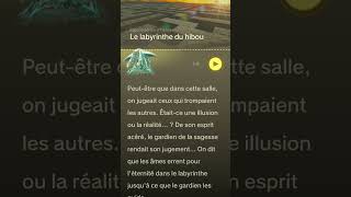 Souvenir vocal de Rauru n°25: Le labyrinthe du hibou #zelda #zeldatotk #nintendoswitch2