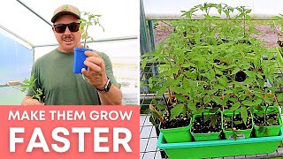 Plants Growing Too Slow? TRY THIS!
