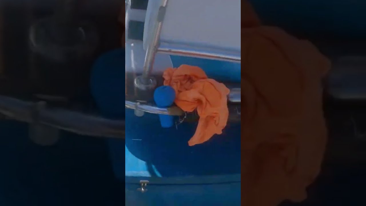Barracuda Feeding Frenzy 