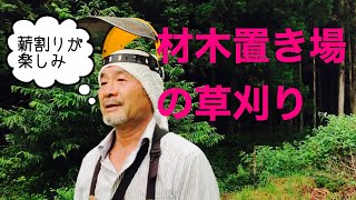 田舎暮らしの日常 材木置き場の草刈り 飛騨の山奥での生活 田舎暮らしの日常 材木置き場の草刈り 飛騨の山奥での生活