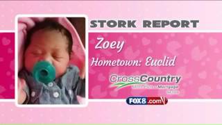 Stork Report 122316