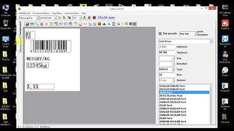 Ashica / Rongta RLS1000 - How To Design New Label using RTLabel Software