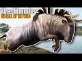 Taking Down a HUGE Diamond Wildebeest With the New AR .308! | theHunter: Call of the Wild