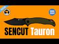 SENCUT Tauron New For January 2026