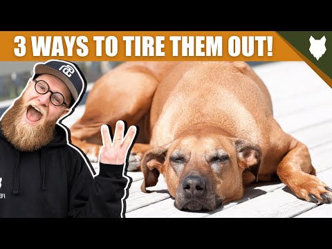 3 Tips To