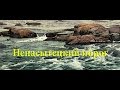 Шукач | Ненасытецкий порог. Днепровские пороги и заборы (часть 5)