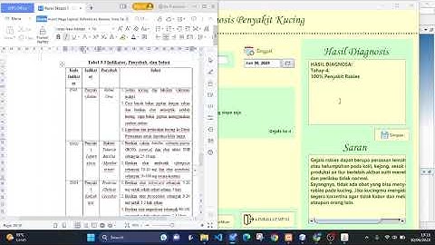 SISTEM PAKAR DIAGNOSIS PENYAKIT PADA KUCING MENGGUNAKAN METODE FORWARD CHAINING BERBASIS JAVA