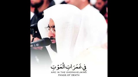 تلاوة خاشعة مبكية للشيخ ناصر القطامي || حالات واتس اب قران - حالات واتس اب دينية