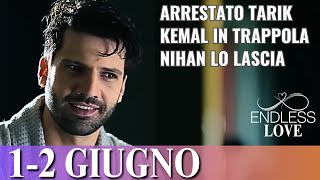 ENDLESS LOVE: Ha Vinto Lui! Nihan Lascia Kemal per Sempre | Anticipazioni del 1 e 2 Giugno