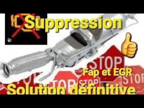 Comment supprimer son Fap et sa vanne EGR définitivement ‼️ A VIE...👍sans soucis et voyant moteur👨‍🔧