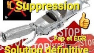 Comment supprimer son Fap et sa vanne EGR définitivement ‼️ A VIE...👍sans soucis et voyant moteur👨‍🔧